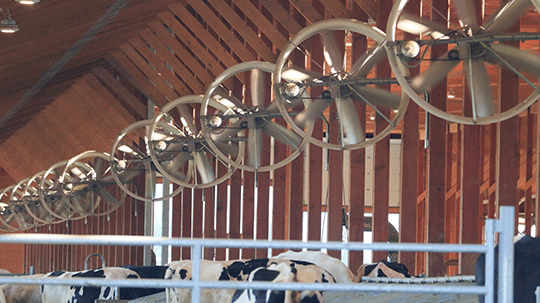Agricultural Ventilation