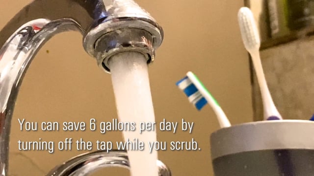 SSP Tip - Slow Your Flow: Saving Water, Saves Money & Energy