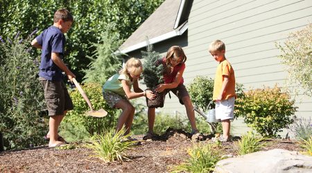 Landscaping-Your-Way-920x600-1